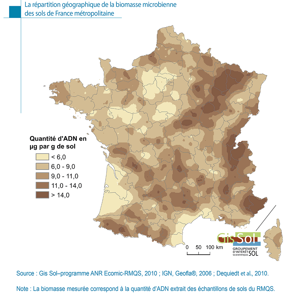 Gis Sol » La répartition géographique de la biomasse microbienne Gis Sol » La répartition géographique de la biomasse microbienne